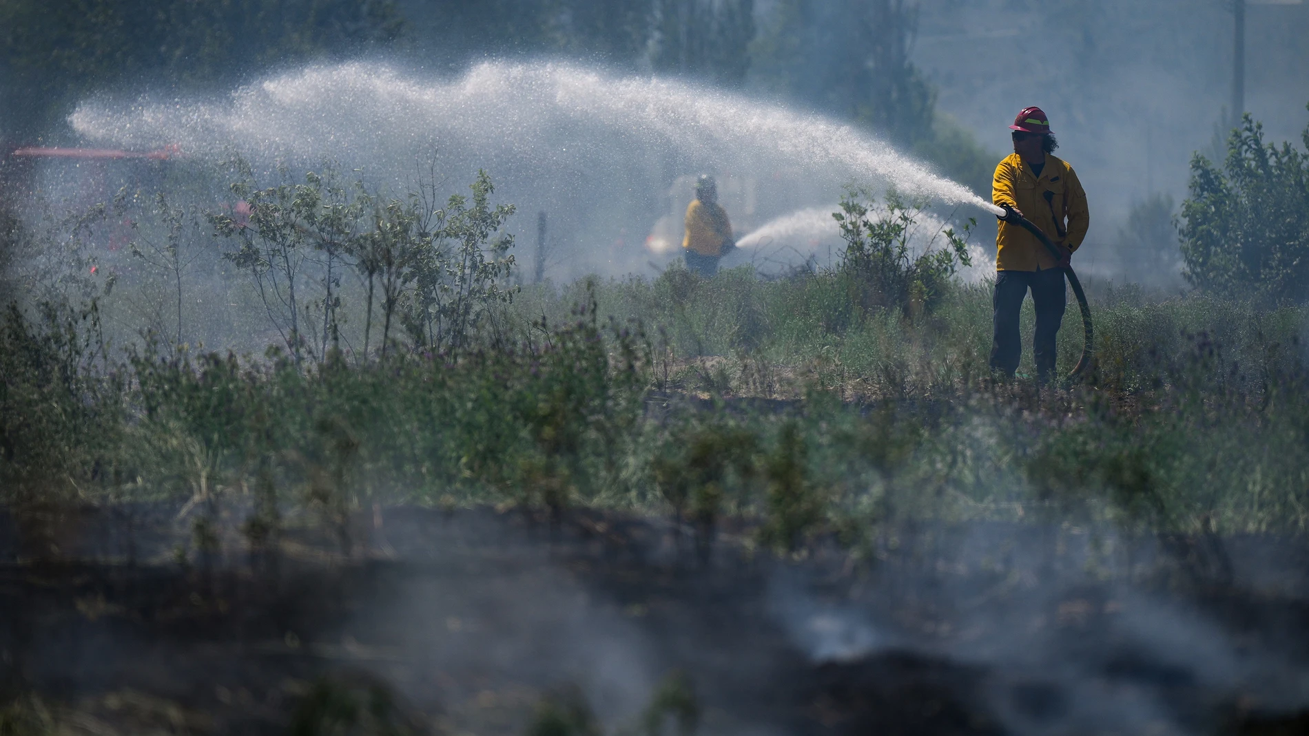 Canadá.- Casi 100 bomberos forestales españoles volarán a Canadá para ayudar a combatir la ola de incendios