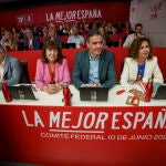 Pedro Sanchez en la Ejecutiva del PSOE en Ferraz. David Jar