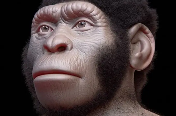 El Homo naledi pudo adelantarnos 160.000 años en arte, industria y “religión” (o no)