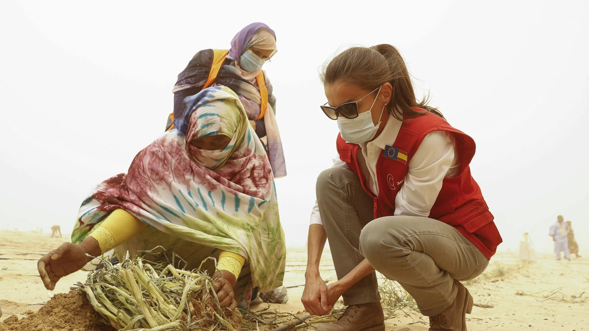 La reina Letizia visita un proyecto de huertos urbanos financiado por la cooperación española, este jueves en Nuakchot, en el último día de su viaje a Mauritania.