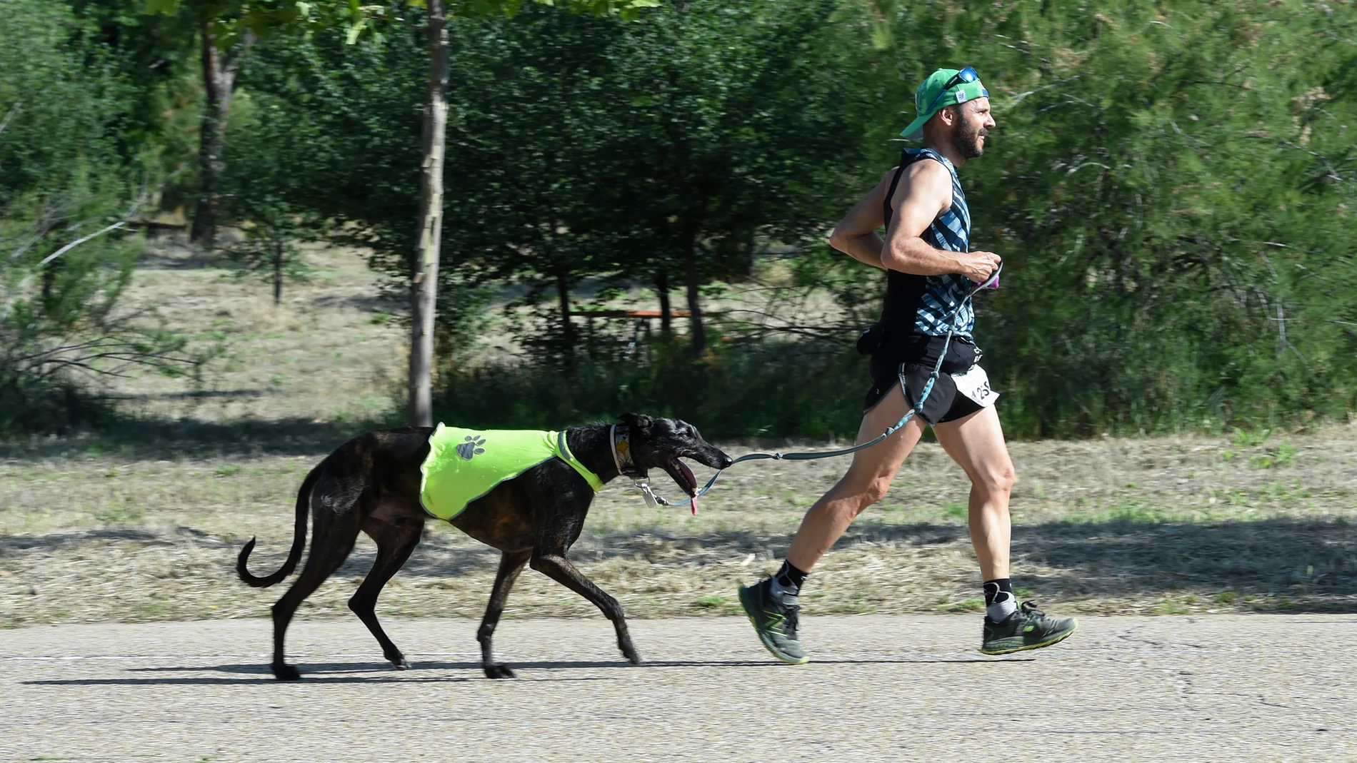 Un hombre corre con un perro durante la carrera de EcoRun con motivo del Medio Ambiente, en la Casa de Campo de Madrid, a 11 de junio de 2023, en Madrid (España). EcoRun celebra su decimotercera edición. Se trata de un evento deportivo, participativo, festivo y solidario que se celebra desde 2011 con el objetivo de promover valores de respeto al medio ambiente y la naturaleza y fomentar un estilo de vida activo y saludable.11 JUNIO 2023;ECORUN;MEDIO AMBIENTE;DEPORTE;SOLIDARIO;NATURALEZA;ACT...