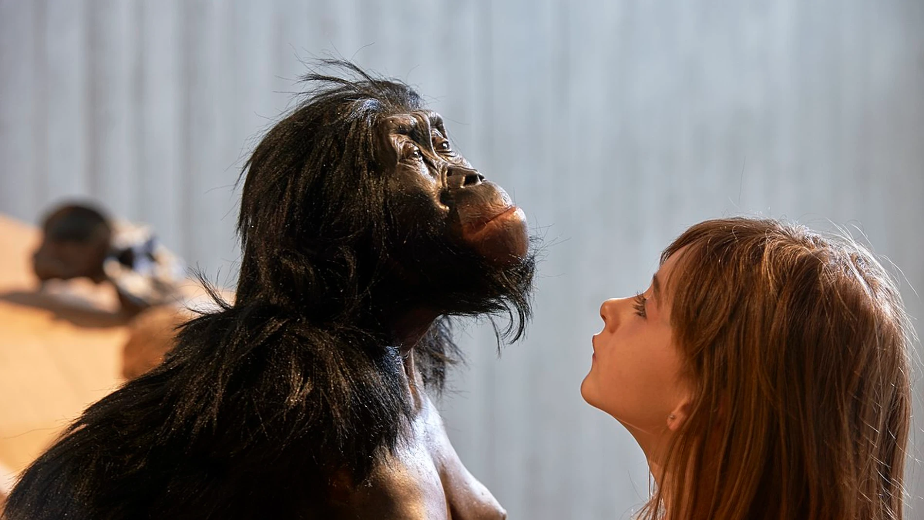 Reconstrucción de Lucy en el Museo Neandertal (Erkrath, Mettmann) con una niña. 