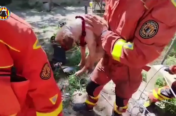 Bomberos rescatan un perro caído dentro una tubería a tres metros de profundidad