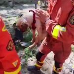 Bomberos rescatan un perro caído dentro una tubería a tres metros de profundidad