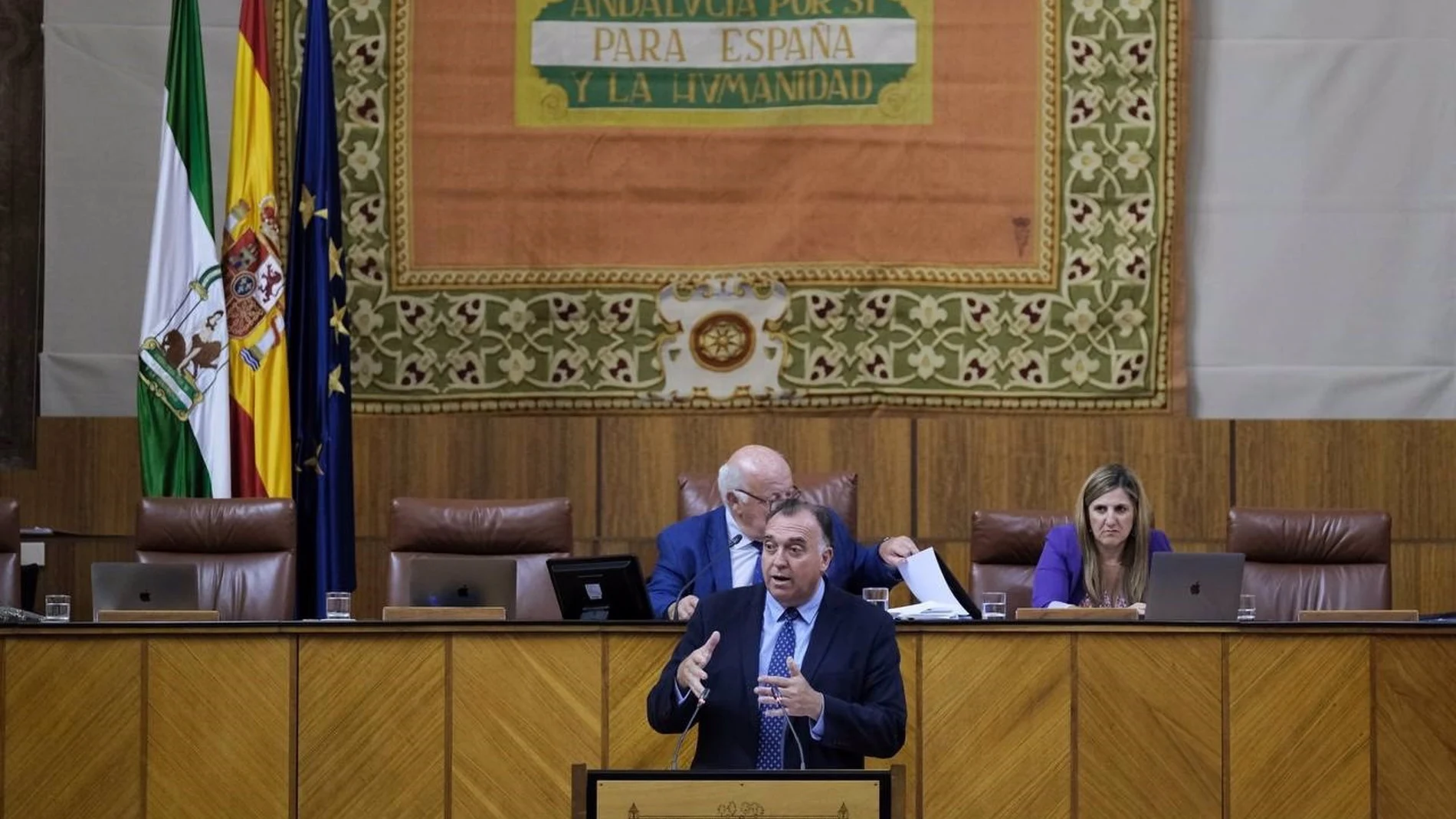El consejero de Turismo, Arturo Bernal, en el Parlamento andaluz