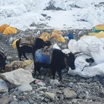 Nepal.- Las expediciones al Everest han generado 84 toneladas de basura solo durante la temporada de primavera