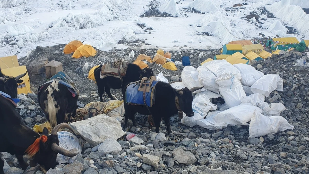 La Justicia de Nepal ordena limitar los permisos para escalar el Everest