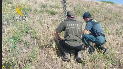 Agentes trabajando sobre el terreno