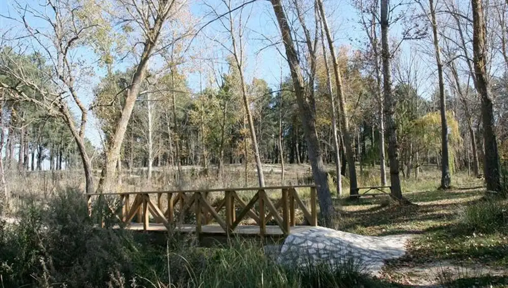 Puente de madera en el área recreativa de Puente Hinojo (Traspinedo) por donde actuaba el Tío Musilas en el siglo XVIII