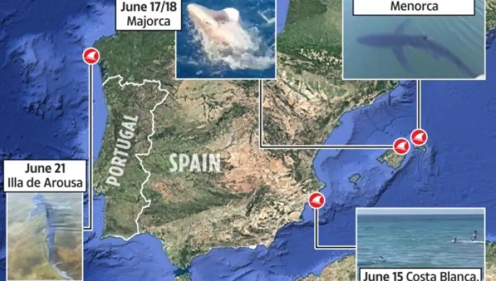 Artículo del famoso tabloide británico sobre la presencia de tiburones en las costas españolas