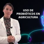 La profesora de la UCAV Dra. Alexandra Díez 