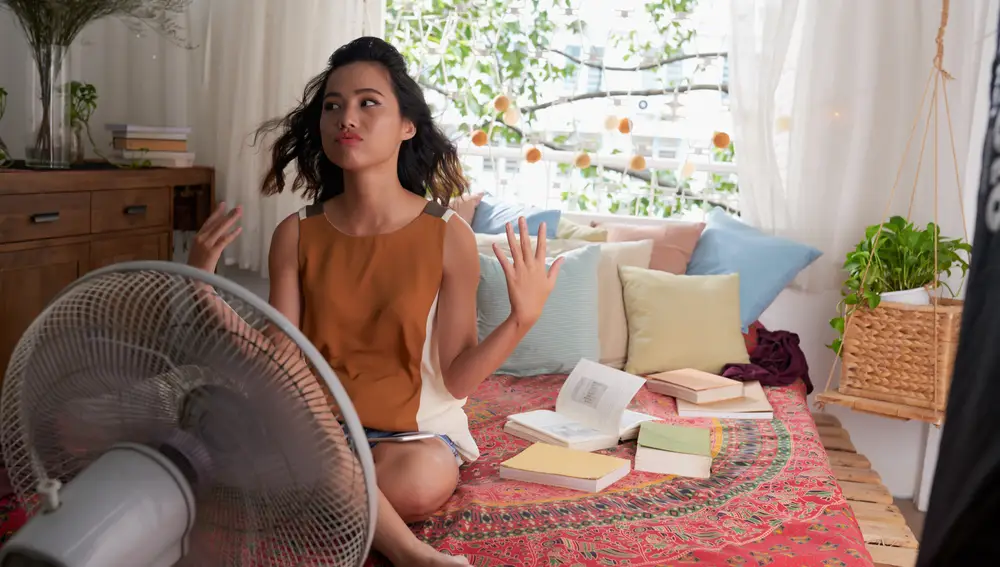 El ventilador puede ayudarnos a evitar las picaduras de mosquito, además de reducir las temperaturas de calor de verano