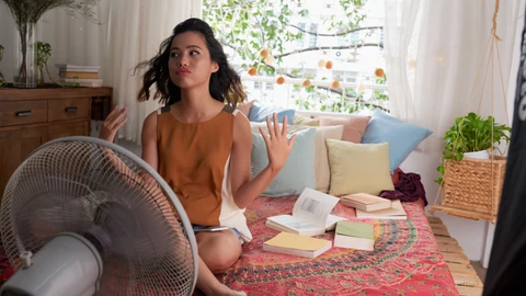 El ventilador puede ayudarnos a evitar las picaduras de mosquito, además de reducir las temperaturas de calor de verano