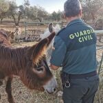 La Unidad de Burros Bomberos de Doñana se queda "fuera de servicio" por robo