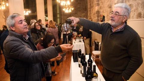 Vinos de la DO Arlanza