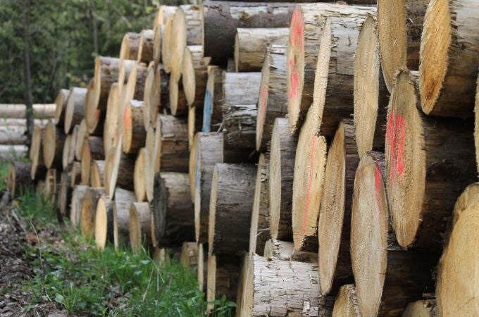 Llamas de la Ribera (León) contará con un nuevo centro logístico de biomasa forestal tras una inversión de 1,3 millones