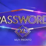 'Password XL'