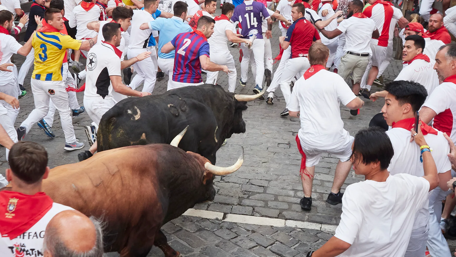 Corredores junto a los toros durante el sexto encierro de las fiestas de San Fermín 2023, a 12 de julio de 2023, en Pamplona, Navarra (España). Los toros de la ganadería Jandilla, de Badajoz, han sido los protagonistas del antepenúltimo encierro de los Sanfermines 2023. Las fiestas en honor a San Fermín, patrón de Navarra, comenzaron el pasado 6 de julio, con el tradicional chupinazo y se prolongan hasta el 14 de julio. Durante su transcurso hay un total de ocho encierros que comienzan todos ...