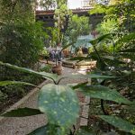 El Museo del Romanticismo atesora un jardín con cafetería ideal para huir de las altas temperaturas