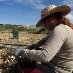 Una jornalera trabaja en la recogida del ajo en Córdoba