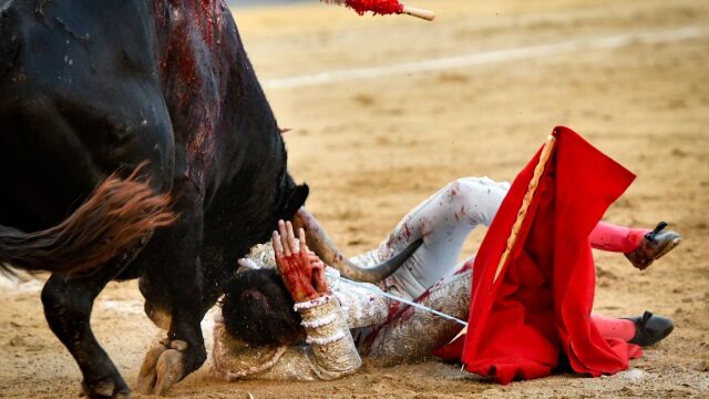 Los toreros pagan un duro tributo de sangre estival