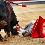 Los toreros pagan un duro tributo de sangre estival