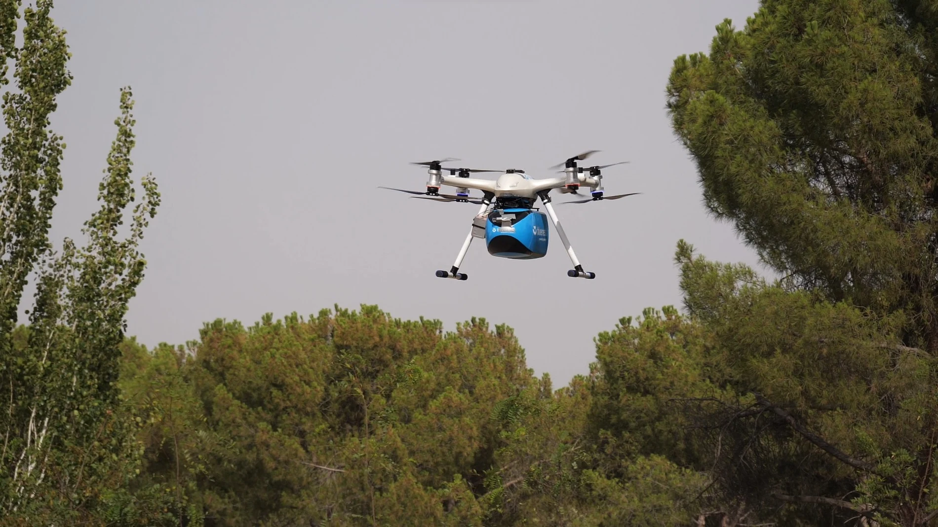 Imagen de un dron sobrevolando un bosque