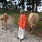 Vídeo viral: Vaca embiste a tiktoker en Galicia por acercarse a su cría