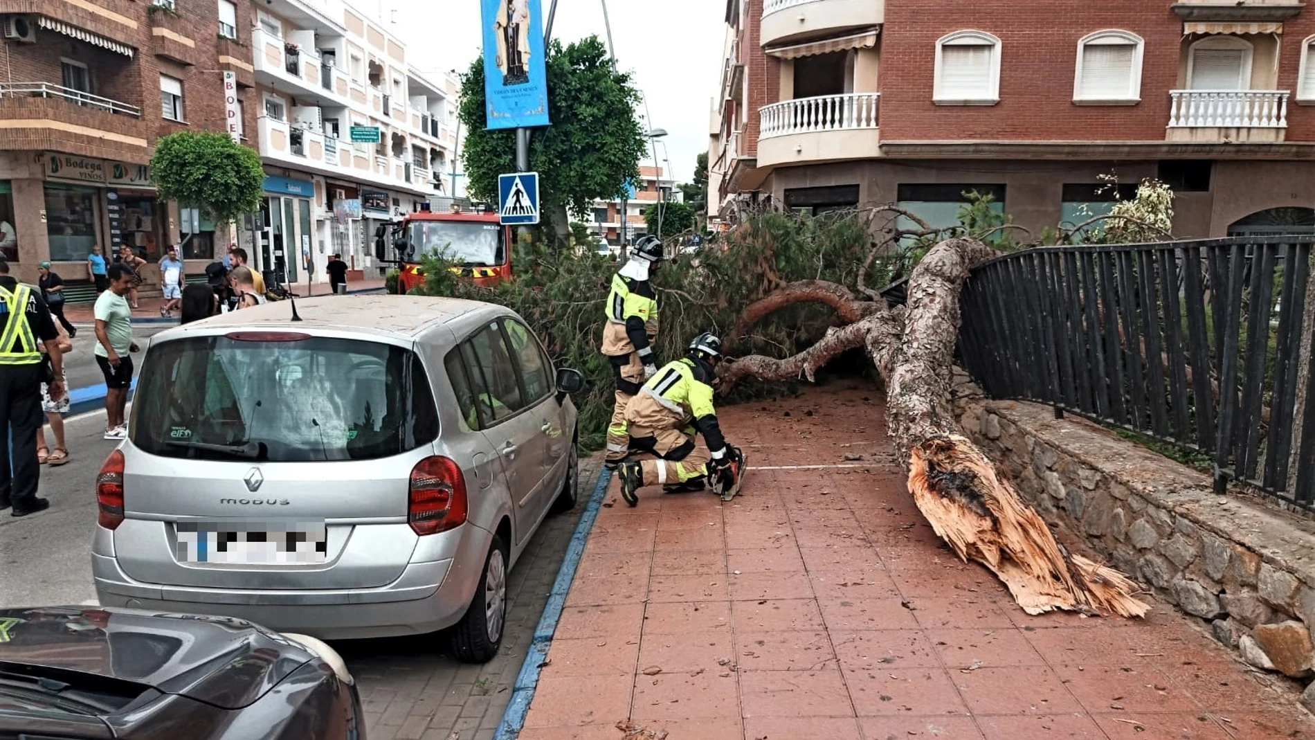 Servicios de emergencia han atendido a dos personas que han resultado heridas al desplomarse un gran árbol en Santiago de la Ribera