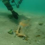 La Guardia Civil recupera en la playa de Puente Mayorga dos ánforas con casi 2.000 años de antigüedad