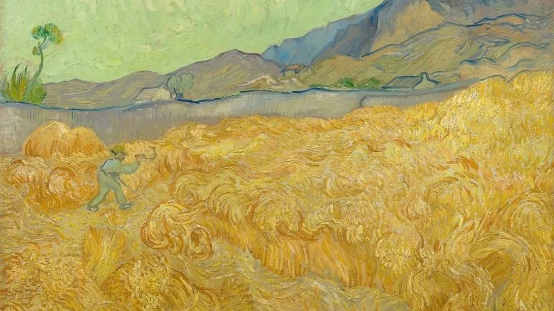 Vincent van Gogh, Campo de trigo con una parca, Óleo sobre lienzo