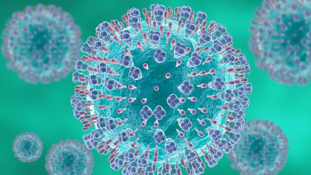 Virus respiratorio sincitial microscópico o VRS.