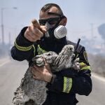 Un bombero hace gestos después de rescatar a dos conejos y un gato después de rescatarlos de un incendio en los pueblos de Kiotari y Gennadi en la isla griega de Rodas hoy 24 de julio de 2023
