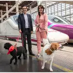 MADRID.-Los trenes de Avlo de Renfe admitirán mascotas de hasta 10 kilos por 10 euros