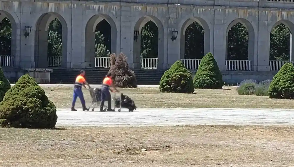 Dos operarios trasladan bolsas en la parte posterior de la Basílica de Cuelgamuros, donde se llevan a cabo tareas de exhumación