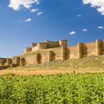 Panorámica del Castillo de Berlanga de Duero