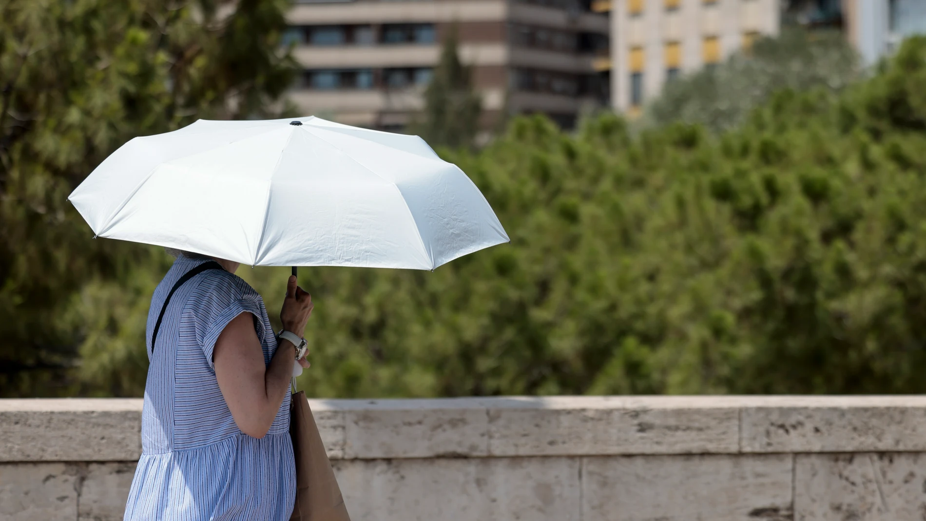 VALENCIA, 27/07/2023.- Una persona se protege de las altas temperaturas con un parasol cuando la Conselleria de Sanidad ha activado este jueves el nivel de riesgo rojo (alto) por calor en los municipios de Jalance y Jarafuel, en la comarca del Valle de Cofrentes-Ayora, en Valencia. EFE/Ana Escobar