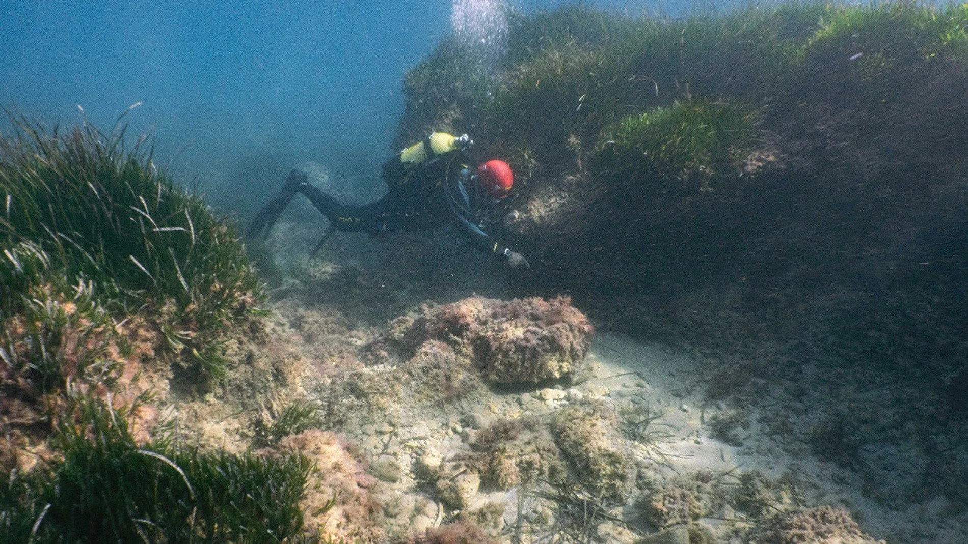 Un técnico del Consell de Mallorca en una exploración a un yacimiento submarino en la isla.CONSELL DE MALLORCA28/07/2023