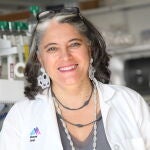 Ana Férnandez Sesma: «Lo importante es conocer los virus para poder anticiparse»