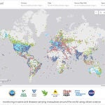 Mosquitos: un mapa interactivo para la prevención de enfermedades