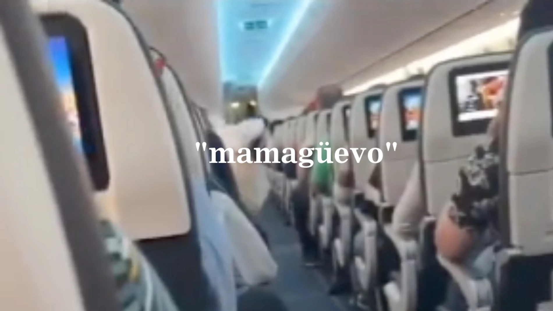 Insólita discusión multilingüe en avión se convierte en sensación viral