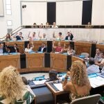 Vox se queda solo en la Diputación de Alicante en su intento de cambiar el área de Igualdad por Familia