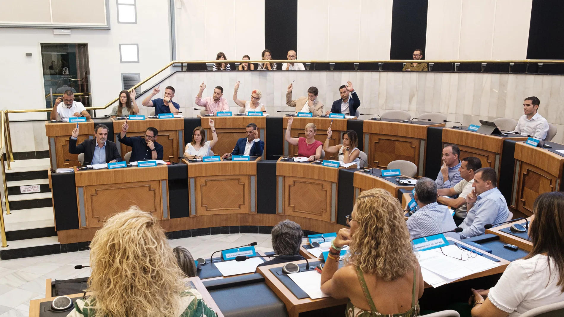 Vox se queda solo en la Diputación de Alicante en su intento de cambiar el área de Igualdad por Familia