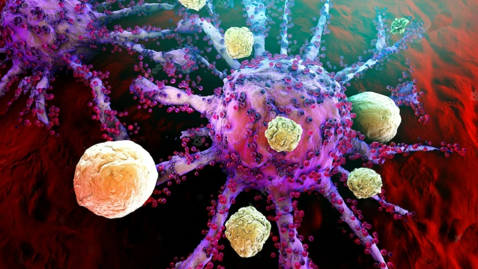 Células cancerígenas cáncer