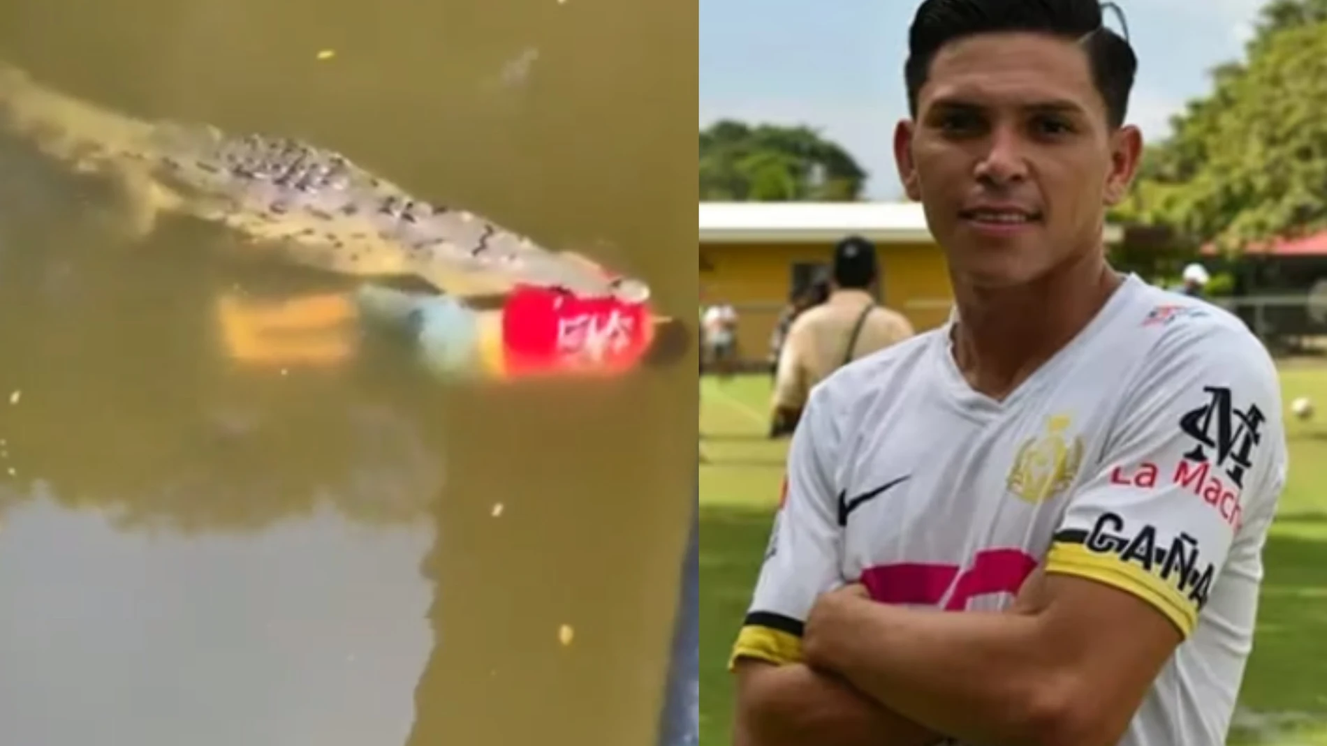 La brutal muerte de un futbolista devorado por un cocodrilo