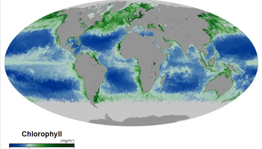 Mapa de la presencia de clorofila en los mares