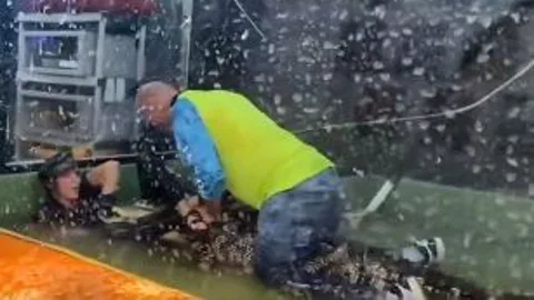 Video | Un cocodrilo ataca a su cuidadora del zoo y un visitante se lanza a ayudarla