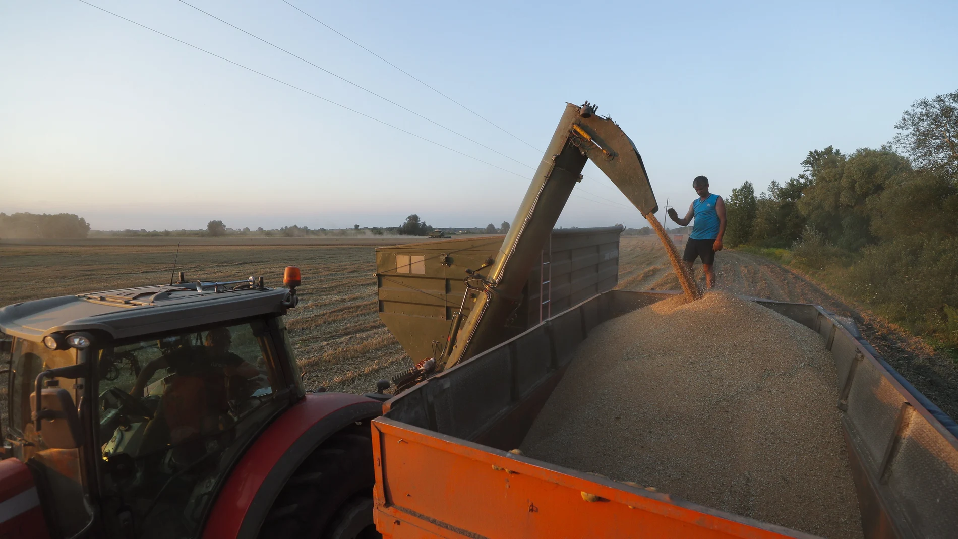 A farmer watches as a combined harvester pours grain onto a truck in a field near Kyiv (Kiev), Ukraine.