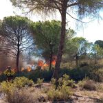 Controlado el 70 por ciento del perímetro del incendio de Bonares 