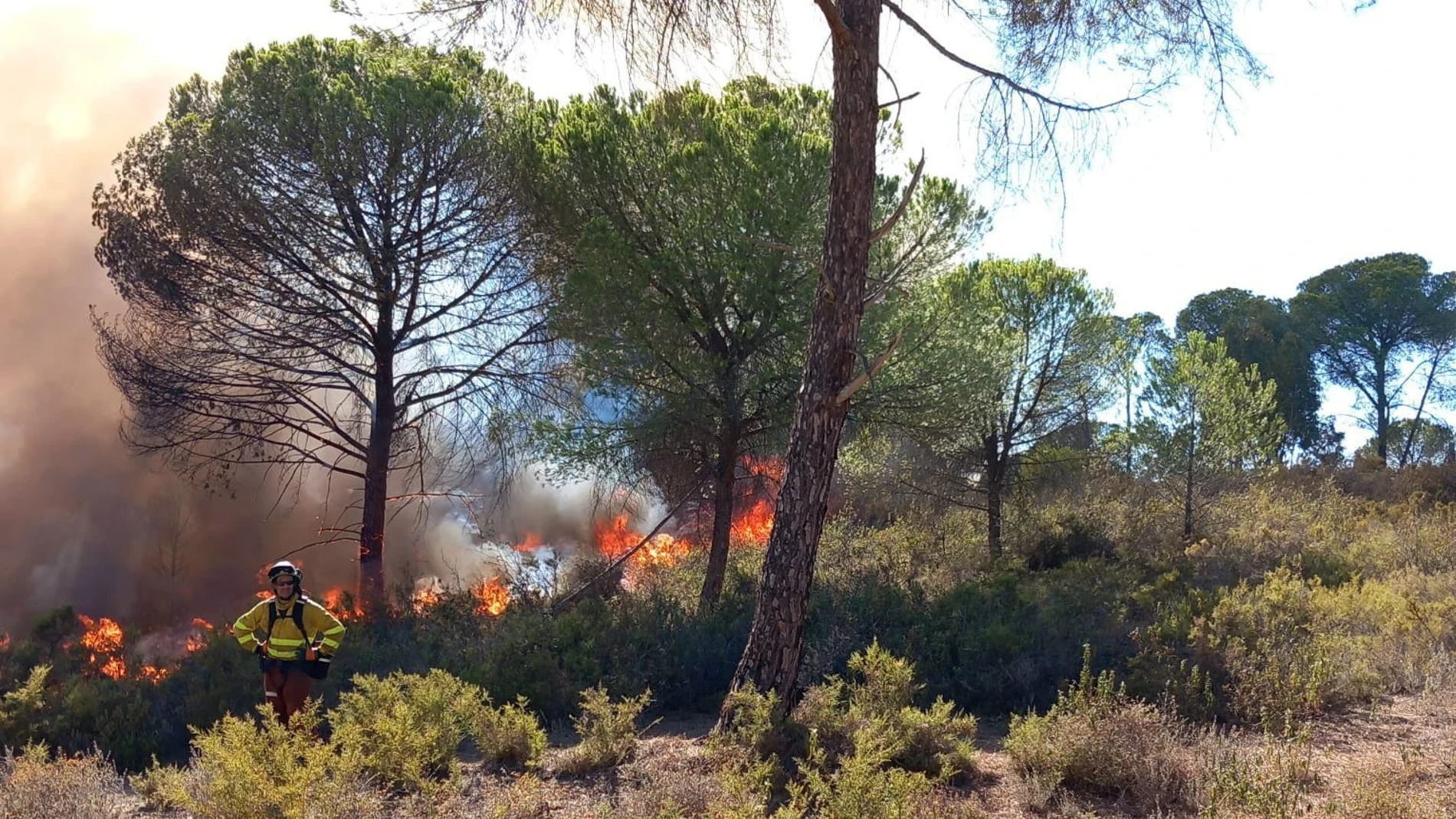 Controlado el 70 por ciento del perímetro del incendio de Bonares 